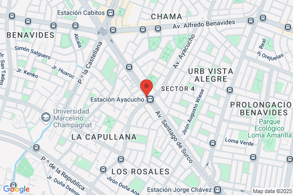 International Visual Security S.A.