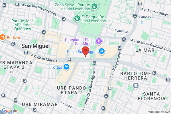 Pardo Bancalari, Miguel
