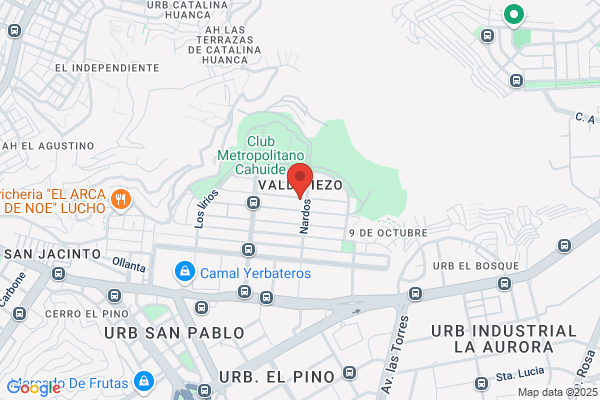 Valdivieso Soria, V. Elvira