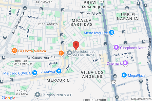 Clínica Dental Los Olivos