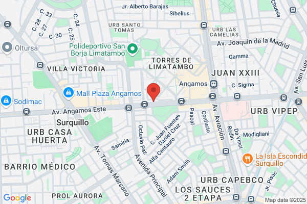 Veterinaria Angamos