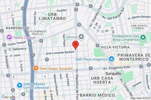 Nese Internacional S.R.Ltda.