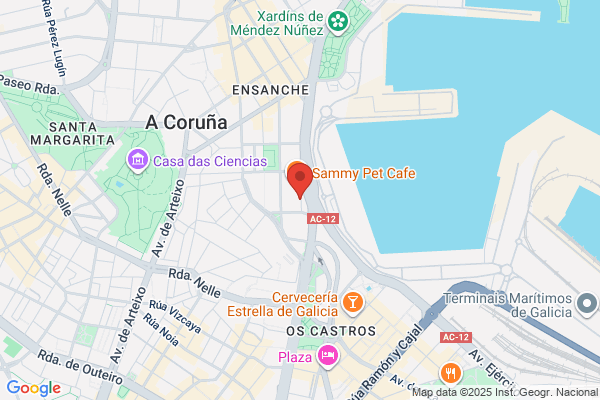 P&S Asociados