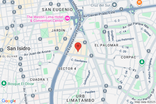 Lluvia Editores S.R.L.