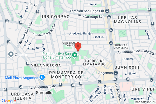 Academia de Natación San Borja