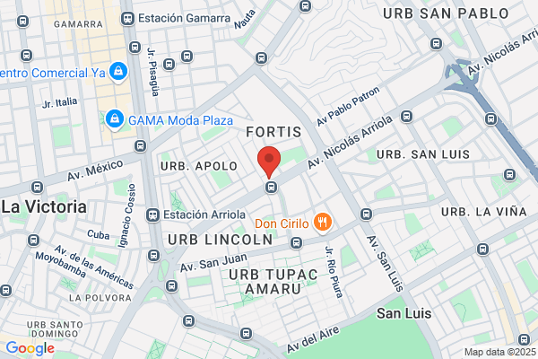 Repuestos Santo Domingo E. I. R. L.