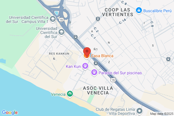 Repuestos Y Lubricantes Panamericana