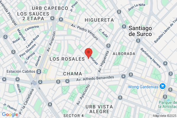 Santiago de Surco - Farmacia Navarra