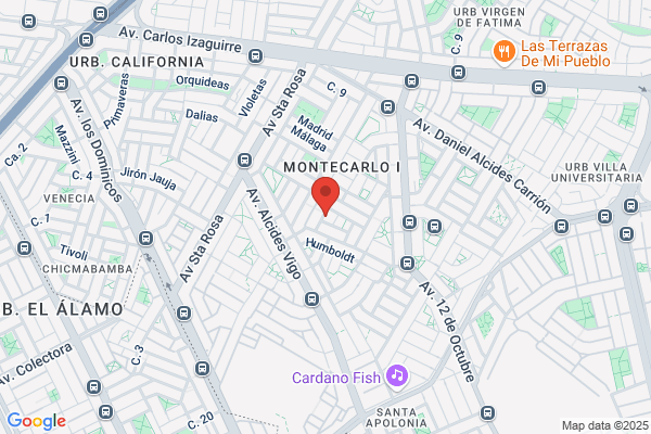 San Martín de Porres - Anticona Yaury Manuel