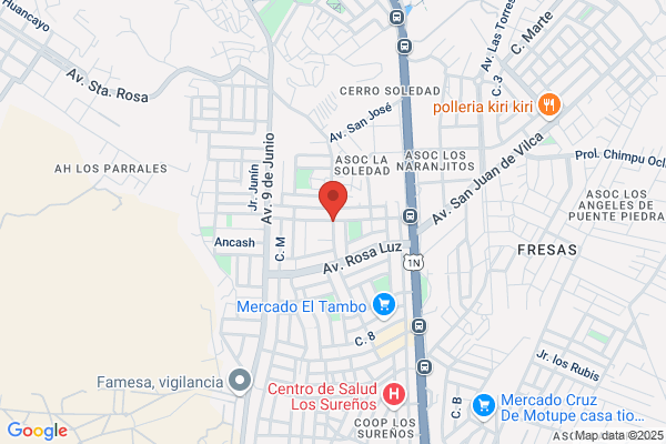 Cauchos y Aceros Industriales E.I.R.L.