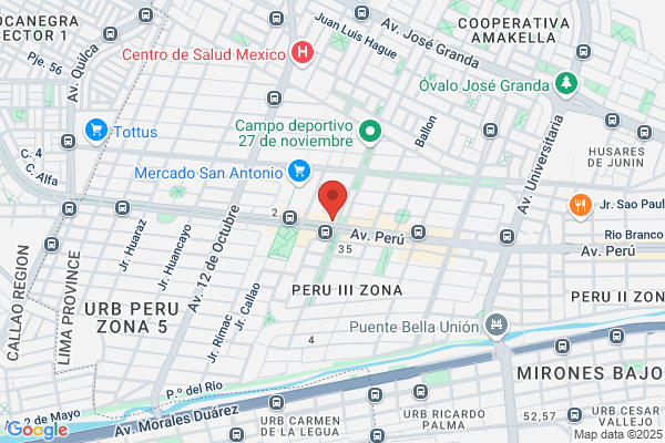 Rosas & Peluches