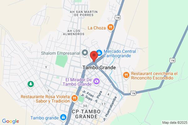 Ramos Estrada, Damaso