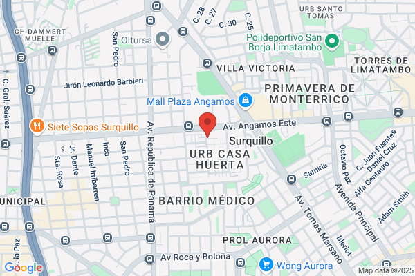 Freno Servicio El Jet S.A.