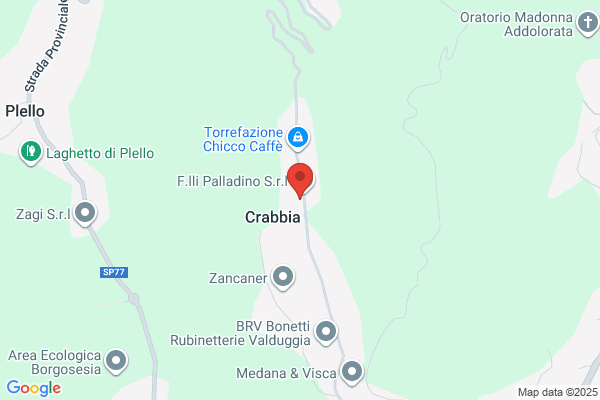 Fraepsur S R L