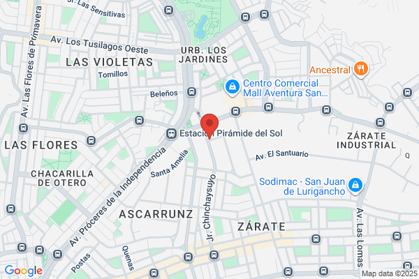 Alianza Metalúrgica