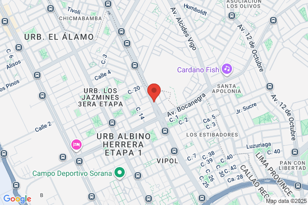 Cercado Callao - Navarro Alavarado Ester