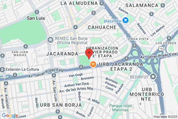 Academia San Borja
