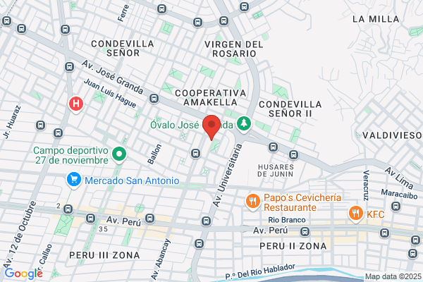 Derivados del Maíz S.A.