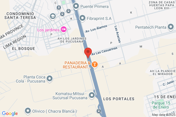 Fábrica de Hielo Polo Sur S.A.