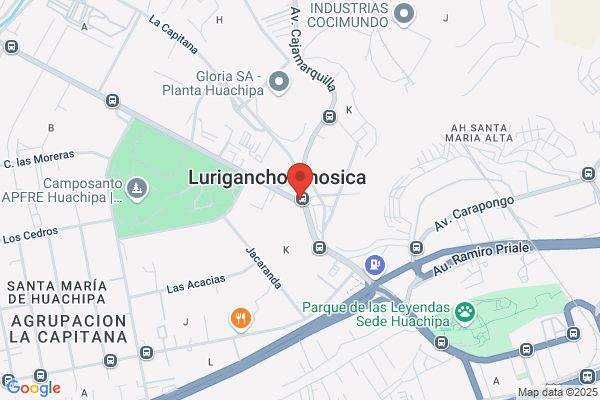 Lurigancho - Cocheralta