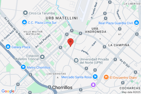 Impresor Gráfico del Sur S.A.