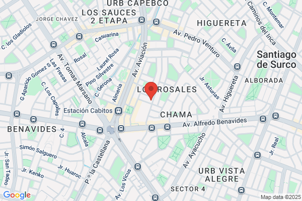 CGS Consultores Asociados S.A.
