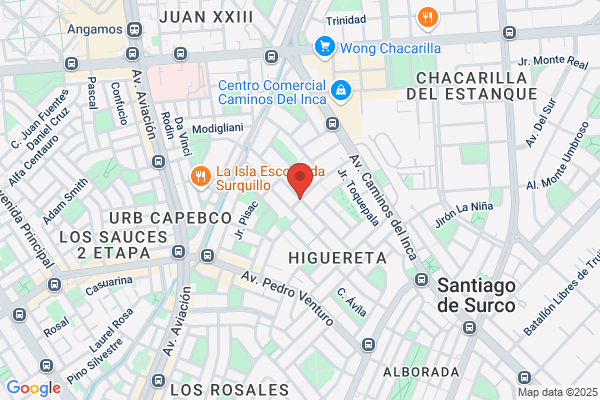 Campos Mesones Félix
