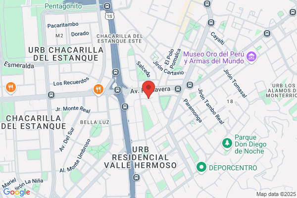 Compañía De Servicios Vicugna S.A.