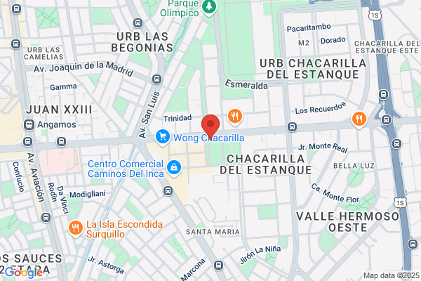Instituto De Investigacion De Disgnacias