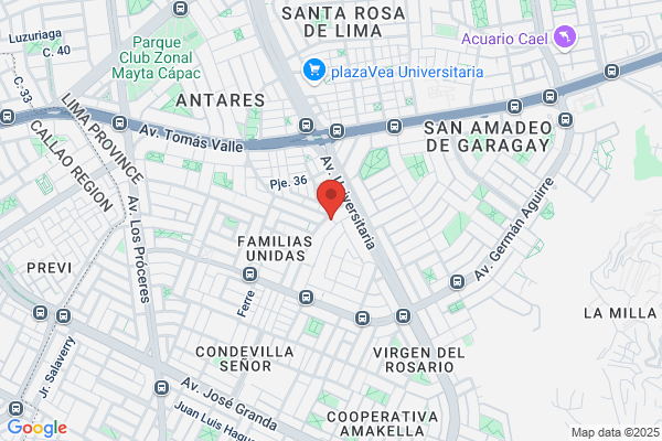 Pineda Ramirez, Vidal