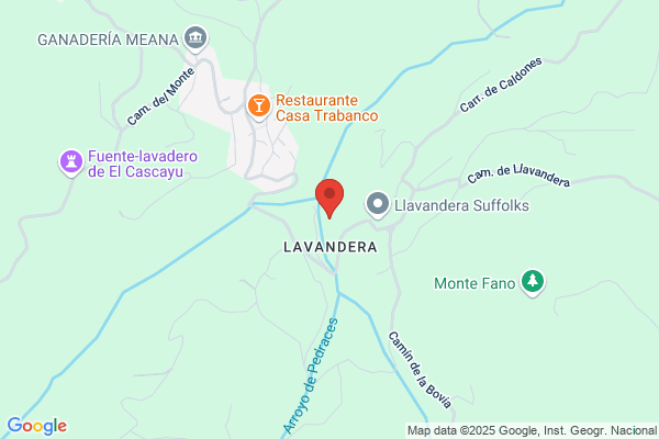 Lavandería Cavisa S.A.