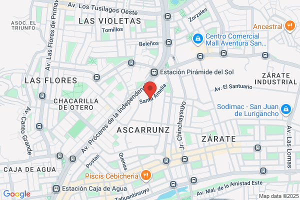 Lavandería Tintorería Nevados y Afines S.A.