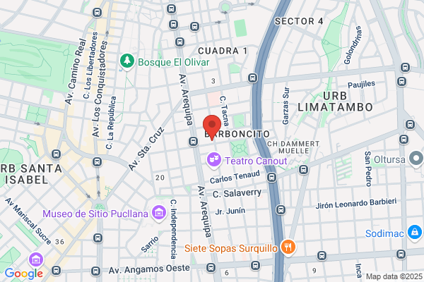 Transenergy S.A.
