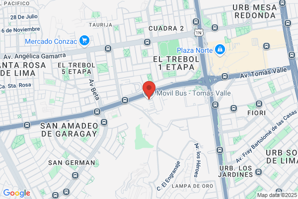 Llanta Buses Dimas