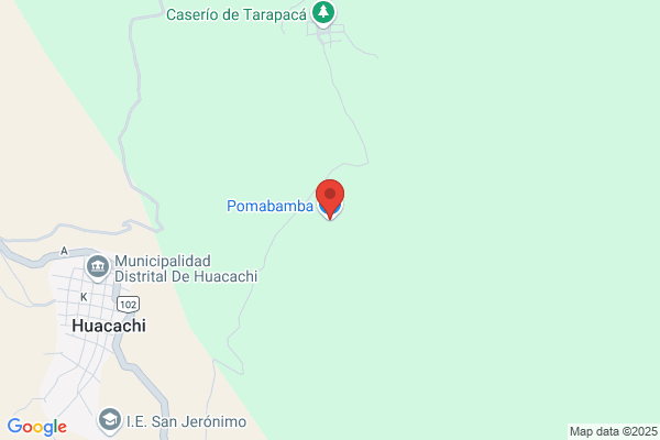 Alfaro Huacachi, Ramiro