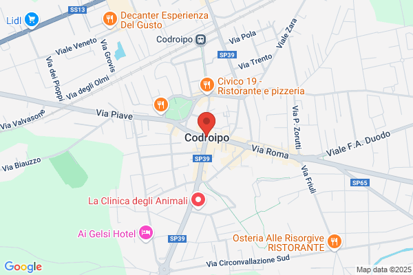 Codirepo
