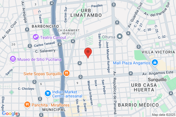 Panamerican Trading S A