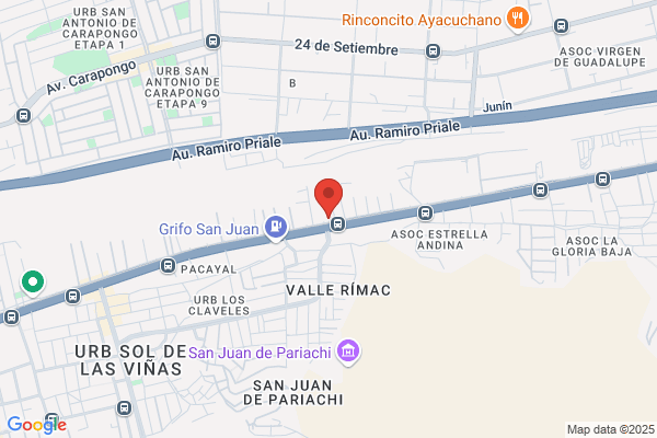 R. S. Del Peru S.A.C.