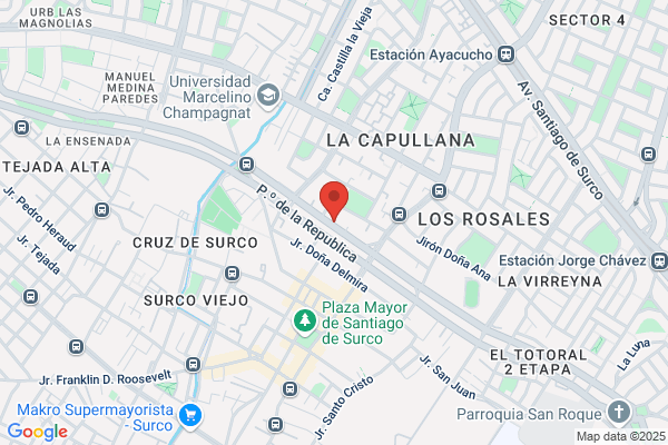 Ramos Minerals S.R.L
