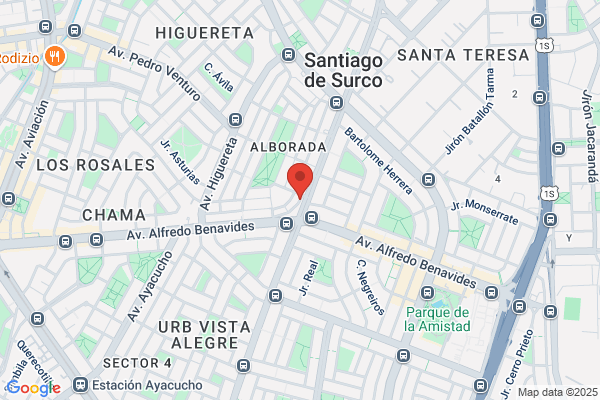 Intramedica S A