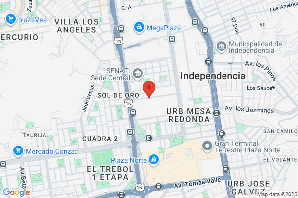 Tecnosanitaria S.A.