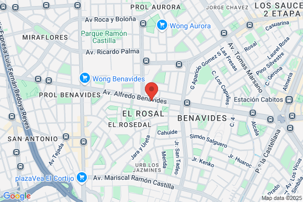 Asesores Protocolares Status