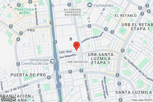 Quispe Sarmiento Alejo