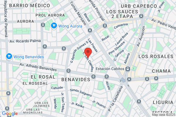 Roose Campos Guillermo