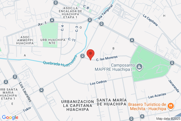 Papelera Del Pacifico S.A.