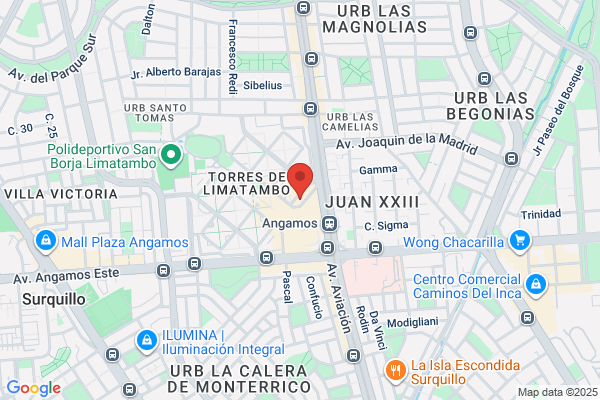 Emp.Peruana America De Pesca Chancay Sa