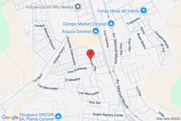 Vega Coronel, Ricardo