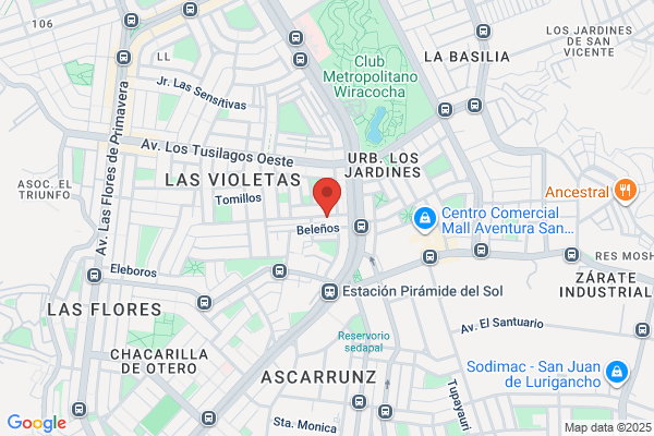 Litografia Del Sur S.A.