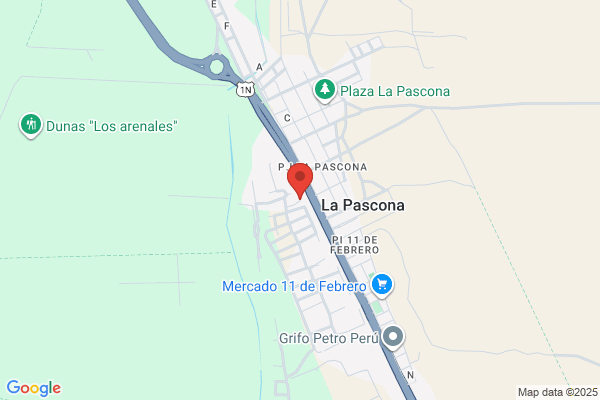 Patos del Norte