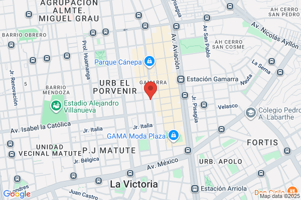 Comercial Lari Silvo